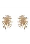 Fireworks Zircon Earrings