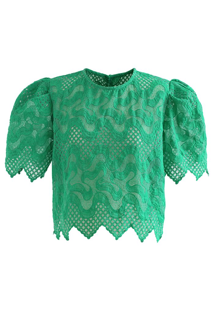 Scrolled Embroidery Zigzag Organza Top in Green