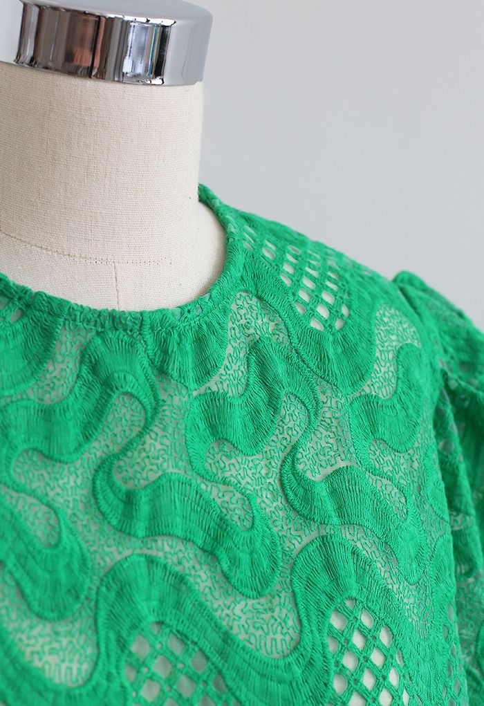 Scrolled Embroidery Zigzag Organza Top in Green