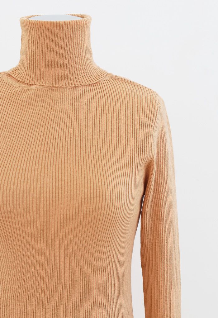 Turtleneck Ribbed Fitted Knit Top in Apricot