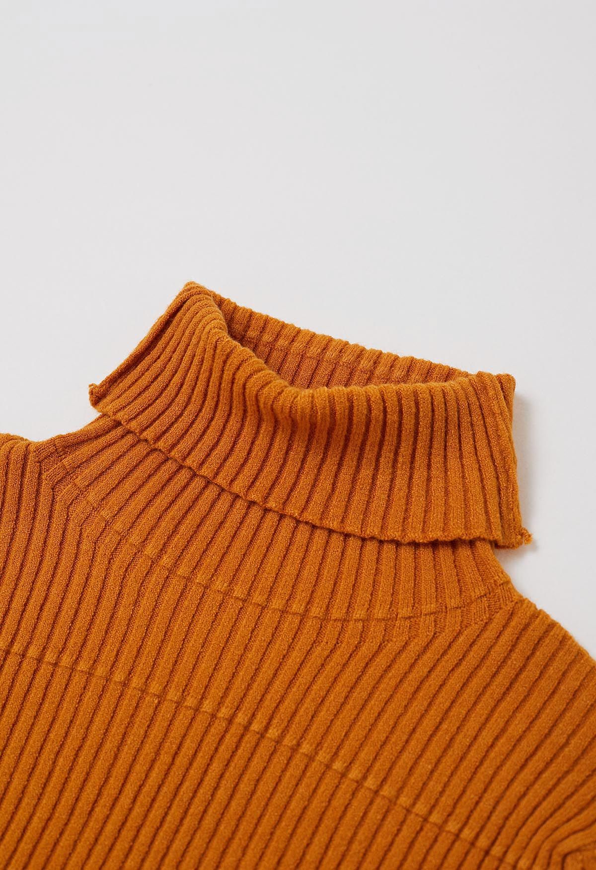 Softness Turtleneck Ribbed Texture Knit Top in Orange